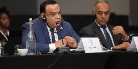 2045 مترشحًا لانتخابات مجلس النواب على النظام الفردى حتى الآن - بلس 48