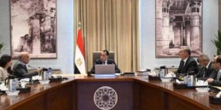 رئيس الوزراء يتابع الموقف التنفيذى لمشروعات الطاقات المتجددة - بلس 48