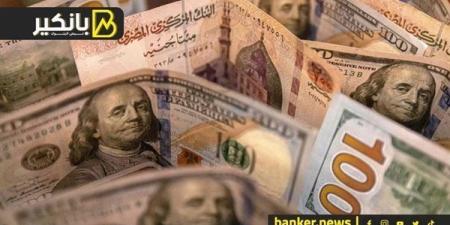 سعر
      الدولار
      أمام
      الجنيه
      في
      ... - بلس 48