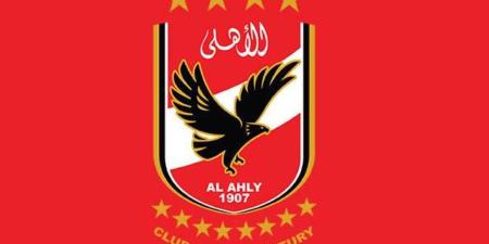 حسب لائحة الأهلي.. قائمة الخطيب تنتظر يومي 30 و31 أكتوبر لحسم نجاحها بالتزكية من عدمه - بلس 48