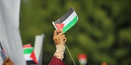 حركة فتح: مصر لعبت دورًا حيويًا منذ 1948 في دعم القضية الفلسطينية - بلس 48