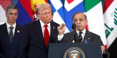 رئيس
      وزراء
      باكستان:
      ترامب
      هو
      المرشح
      الأفضل
      لنيل
      جائزة
      نوبل
      للسلام - بلس 48