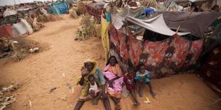 هريدي:
      القمة
      المصرية
      السودانية
      بحثت
      جهود
      وقف
      الحرب
      في
      السودان
      والتحضير
      لاجتماع
      واشنطن - بلس 48