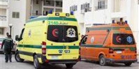 عاجل..
      طالب
      بالإعدادي
      يقتل
      زميله
      ويقطع
      جثمانه
      بصاروخ
      في
      الإسماعيلية - بلس 48