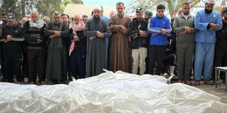 ارتفاع
      حصيلة
      ضحايا
      العدوان
      الإسرائيلي
      على
      غزة
      إلى
      أكثر
      من
      68
      ألف
      شهيد - بلس 48