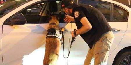 عطلة
      تتحول
      إلى
      كابوس
      ..
      عصابة
      أفغانية
      تختطف
      مغربيين
      في
      إسطنبول - بلس 48