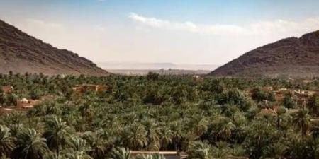 شباب أنباج يرفضون عرقلة فرص الشغل - بلس 48