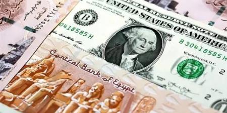 سعر
      الدولار
      أمام
      الجنيه
      في
      ... - بلس 48