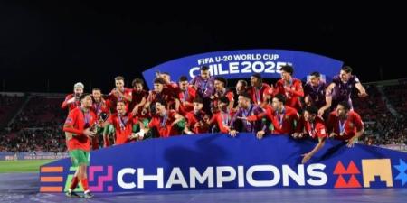 الأسود والأشبال ينافسان على جائزة أفضل منتخب إفريقي - بلس 48
