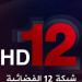 نزلها الآن.. إشارة تردد قناة 12 العربية HD الجديدة - بلس 48