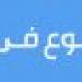 محافظ المنيا: “بداية أمل” تجربة رائدة لمحو أمية أبناء القرى -  بلس 48