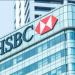 بنك HSBC: المركزي الأوروبي منفتح على خفض أسعار الفائدة في عام 2025 - بلس 48