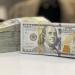 سعر الدولار مقابل الجنيه المصري اليوم الجمعة 18 يوليو 2025 - بلس 48