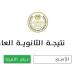 نتيجة الثانوية العامة 2025.. رابط مباشر وخطوات الاستعلام عنها - بلس 48