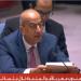 مندوب مصر بالأمم المتحدة: استمرار إسرائيل انتهاك سيادة الدول العربية خطر على الأمن الجماعي إقليميا ودولياً - بلس 48