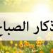 أذكار الصباح اليوم الأربعاء 30 يوليو 2025.. «اللهم عافني في بَدَني» - بلس 48