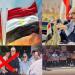 أستاذ علوم سياسية: تظاهرات «الإخوان الإرهابية» أمام سفارة مصر في تل أبيب خيانة صريحة واصطفافا مفضوحا مع العدو - بلس 48