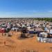 آخر التطورات في السودان.. الأسر والعائلات تستنجد بالصليب الأحمر وتطالب البرهان بدعم مبادرة تبادل الأسرى - بلس 48