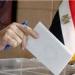 انطلاق تصويت المصريين بالخارج في انتخابات مجلس الشيوخ 2025 وفتح اللجان في نيوزيلندا - بلس 48