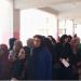 انتخابات الشيوخ 2025.. حضور قوي للسيدات وكبار السن في أول أيام التصويت بالمقطم - بلس 48