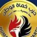 حماة الوطن: الرئيس السيسي يؤكد مجددا موقف مصر الداعم للقضية الفلسطينية ورفض التهجير - بلس 48