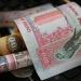 الدرهم الاماراتى يسجل 13.22 فى البنك الاهلى مع بداية تعاملات اليوم - بلس 48