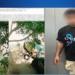 الأمن يكشف حقيقة فيديو إتلاف مرايات سيارات بالبساتين - بلس 48
