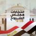 الهيئة الوطنية تعلن نتيجة انتخابات مجلس الشيوخ 2025 للمرحلة الأولي غدًا - بلس 48