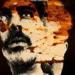 قبل عرضه العالمي الأول بلوكارنو.. طرح البوستر الرسمي لـ فيلم اغتراب للمخرج مهدي هميلي - بلس 48