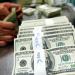 استقرار
      سعر
      الدولار
      اليوم
      السبت
      ... - بلس 48