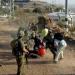 عشرات
      الإصابات
      في
      اقتحام
      قوات
      الاحتلال
      لبلدة
      بيت
      كاحل
      في
      فلسطين - بلس 48
