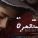 قبل
      عرضه
      في
      مهرجان
      الجونة..
      طرح
      البوستر
      الرسمي
      لـ
      فيلم
      المستعمرة - بلس 48