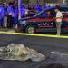 35
      قتيلا
      حصيلة
      حوادث
      السير
      بالمدن - بلس 48