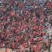 الزمالك
      يتقدم
      بشكوى
      رسمية
      ضد
      جماهير
      الأهلي
      بعد
      أحداث
      مباراة
      الاتحاد
      السكندري - بلس 48