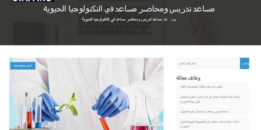 بالبلدي: وظيفة جامعة.. جامعة اكتوبر للعلوم الحديثة والآداب تعلن عن وظائف أعضاء هيئة التدريس.. التفاصيل الكاملة - بلس 48