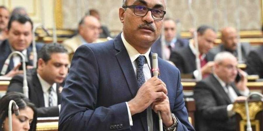 برلماني: الجميع متضرر من قانون الإيجار القديم سواء الملاك أو المستأجرين لهذا السبب - بلس 48