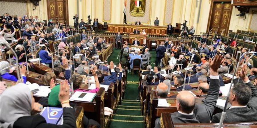 مصادر لـ تحيا مصر: استمرار عدد من رؤساء اللجان النوعية بمناصبهم في دور الانعقاد الخامس للنواب.. وتعديلات على وكلاء وأمناء السر - بلس 48