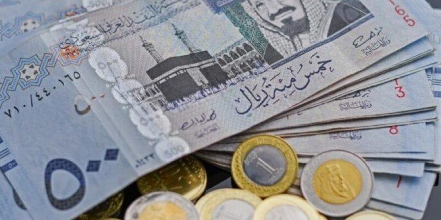 بالبلدي : سعر الريال السعودي اليوم في البنك الأهلي - بلس 48