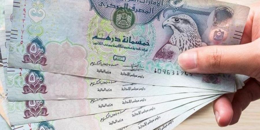 بالبلدي : سعر الدرهم الإماراتي مقابل الجنيه المصري اليوم الأربعاء 25 سبتمبر 2024 - بلس 48