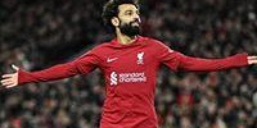 بالبلدي : صلاح يقود ليفربول للفوز على وولفرهامبتون بالدوري الإنجليزي - بلس 48