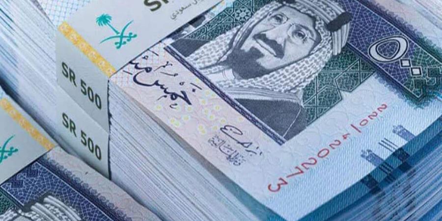 كم سعر الريال السعودي أمام الجنيه المصري اليوم السبت 28-9-2024؟ - بلس 48