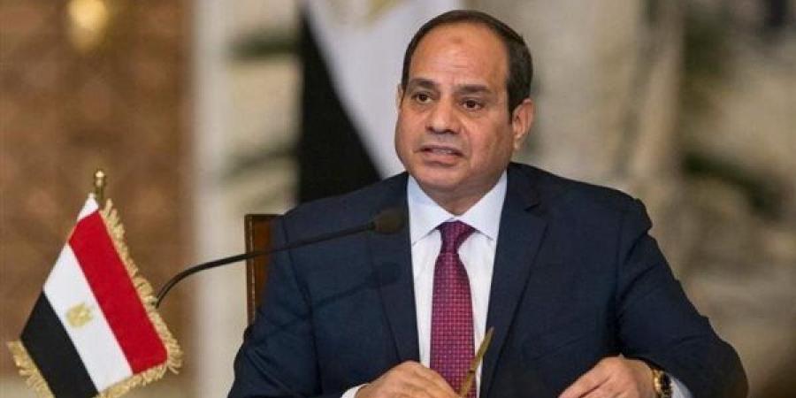 الرئيس السيسي: دول المنطقة لها مصالحها التي يجب ألا تتعارض مع بعضها - بلس 48