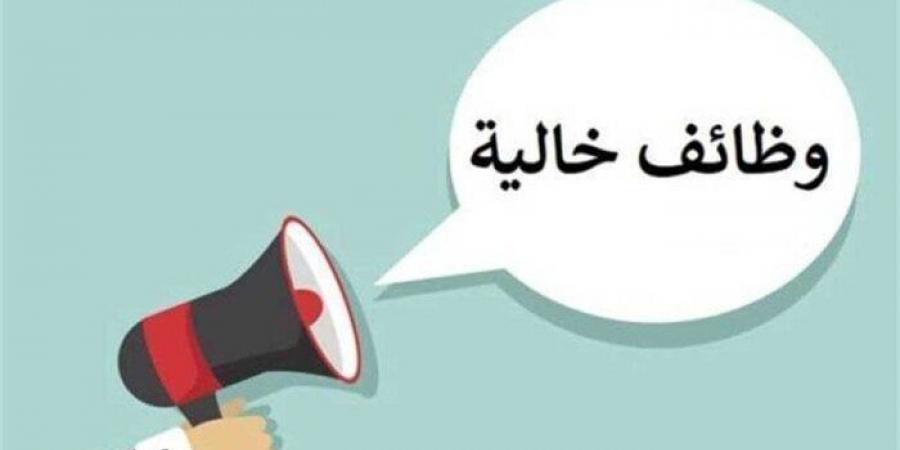 بالبلدي : وظائف جامعة عين شمس.. الشروط والأوراق المطلوبة - بلس 48