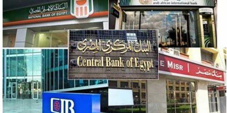 الأحد المقبل.. تعطيل العمل بكافة البنوك العاملة في مصر - بلس 48