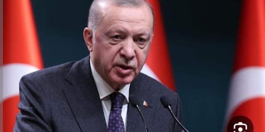 بالبلدي: أردوغان: تركيا أرسلت 30 طنا من المساعدات الإنسانية إلى بيروت - بلس 48