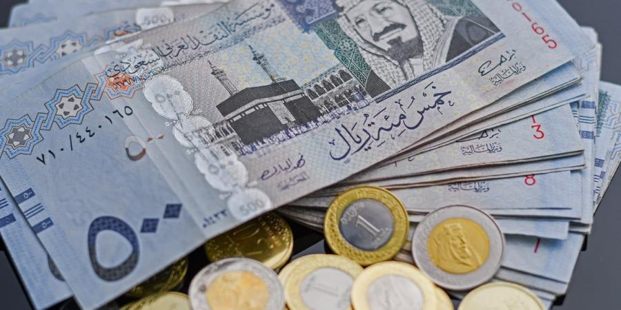 سعر الريال السعودي مقابل الجنيه المصري في مصر اليوم الثلاثاء 1-10-2024 - بلس 48