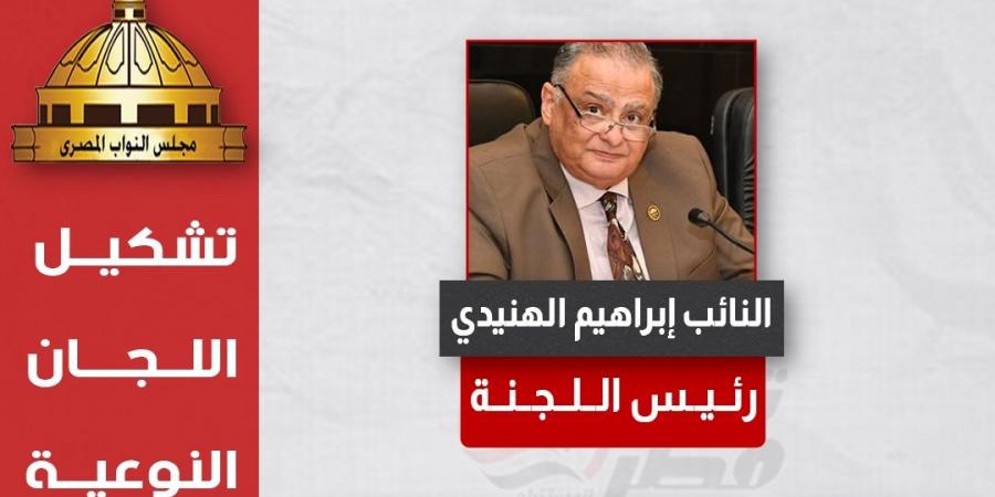 الهنيدي رئيسا.. تحيا مصر ينشر تشكيل هيئة مكتب اللجنة التشريعية بدور الانعقاد الخامس - بلس 48