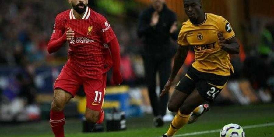 موعد مباراة ليفربول ضد بولونيا في دوري أبطال أوروبا والقنوات الناقلة - بلس 48