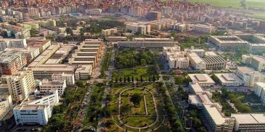 جامعة المنصورة تحقق المركز الأول في مجال محو الأمية دورة يوليو 2024 - بلس 48