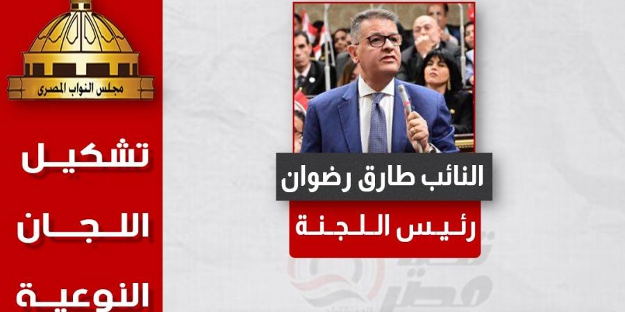 طارق رضوان رئيسا.. تحيا مصر ينشر تشكيل هيئة مكتب لجنة حقوق الإنسان بدور الانعقاد الخامس - بلس 48